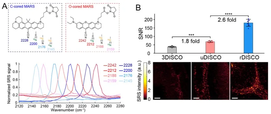 Development Of RADIANT Gal Im.jpg