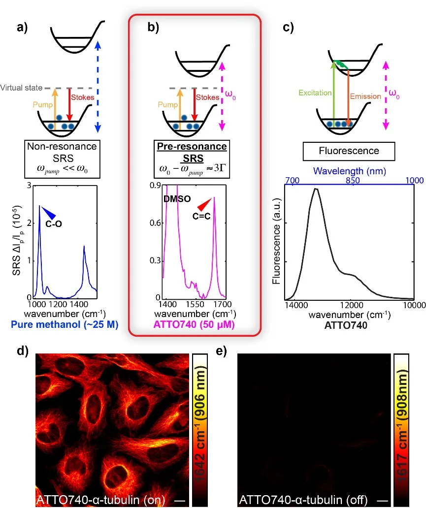 A quantum mechanical descriptive picture of non-resonance SRS, pre-resonance SRS, and fluorescence excitation, depicting promotion of electrons to the virtual state, the pre-resonant state, and excited electronic state (respectively). Image includes the corresponding spectral shifts for each excitation phenomenon. With an image depicting dye ATTO740 excited (1645 cm-1), in the pre-resonant 'on' state, and ATTO740 25 wavenumbers away (1617 cm-1), in the 'off' state.