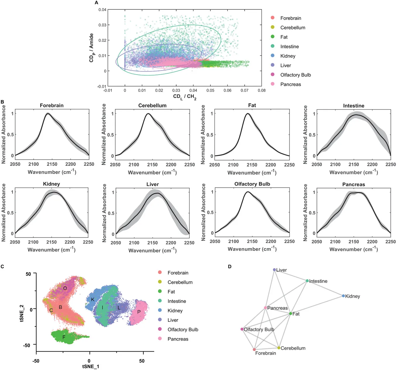 Multivariate Analysis Reveals The Organ Specific Metabolic Profiles Gall Im.jpg