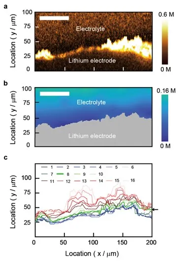 SRS Image Of Ion Depletion In The Electrolyte Gall Im.jpg